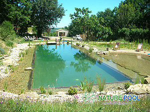 Частный натуральный бассейн во Франции